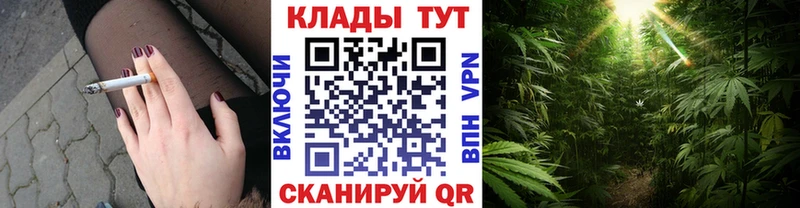 Купить закладку Мценск Канабис  COCAIN  ТГК  ГАШ  СК 