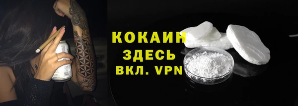 мдпв Тавда
